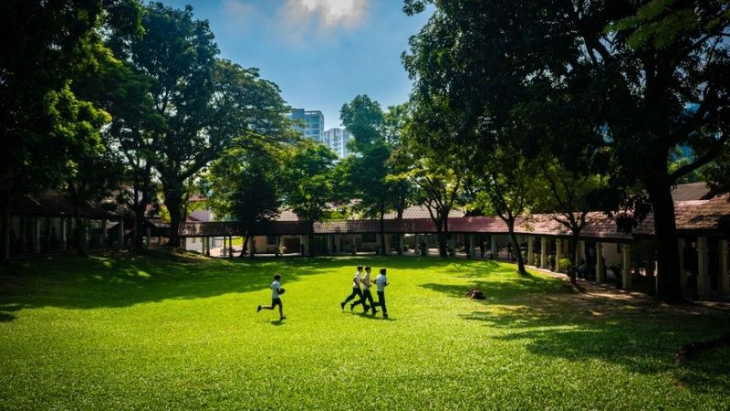 爱丽丝史密斯学校 校园图片 2