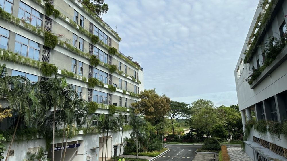 森林城市国际学校 校园图片 2