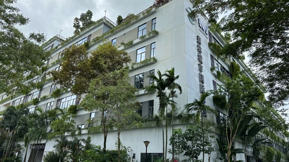 森林城市国际学校 校园图片 3