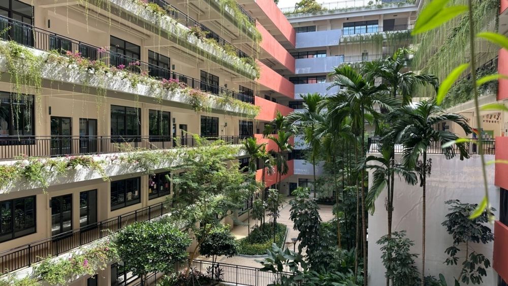 森林城市国际学校 校园图片 1