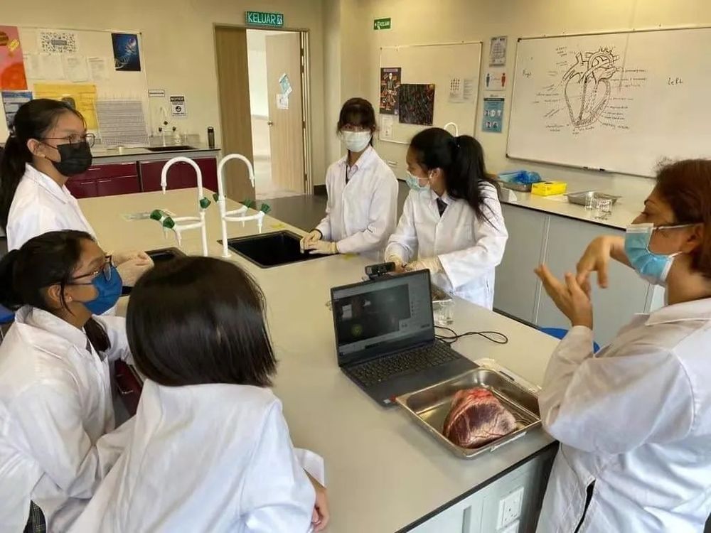 玛莎国际学校 校园图片 3