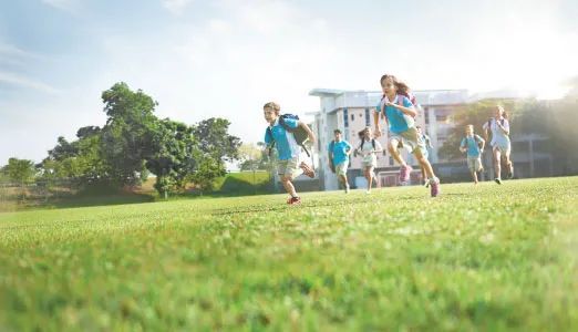 Nexus国际学校 校园图片 2