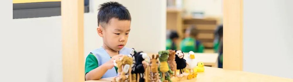 威尔斯王子岛国际学校 校园图片 3