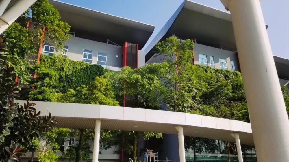 泰莱国际学校 校园图片 2