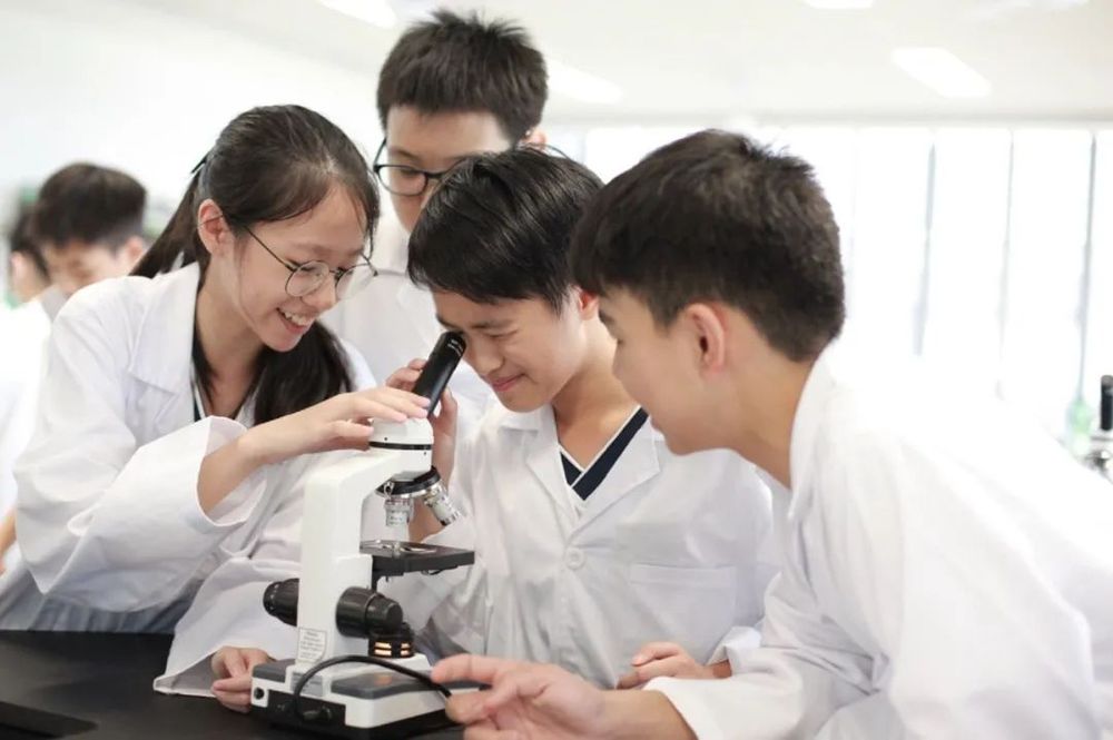 慈济国际学校 校园图片 3